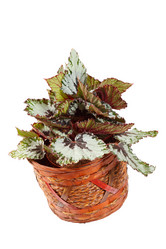 Similar image 2192363