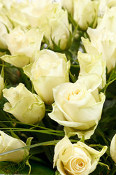 Similar image 2192366