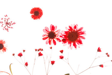 Similar image 2192371