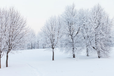 Similar image 2192374