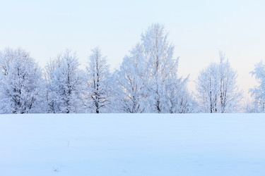 Similar image 2192886