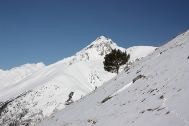 Similar image 2193621