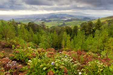 Similar image 2193672