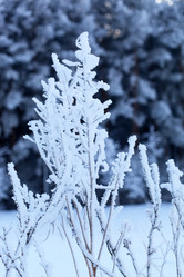 Similar image 2193696