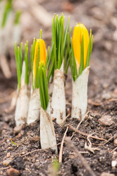 Similar image 2193721