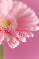 Similar image 2193859