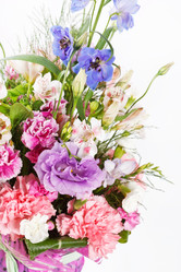 Similar image 2193922