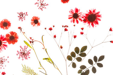 Similar image 2193961