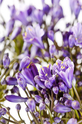 Similar image 2193965