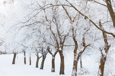 Similar image 2193969