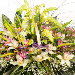 Similar image 2193971