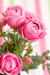 Similar image 2193986