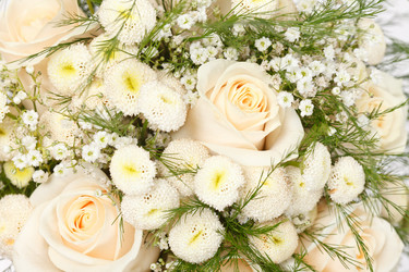 Similar image 2194115