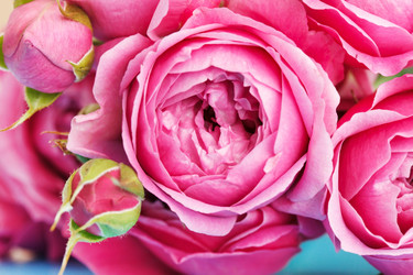 Similar image 2194121