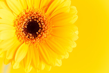 Similar image 2194298