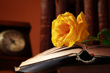 Similar image 2194602