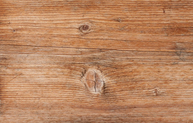 Similar image 2195001