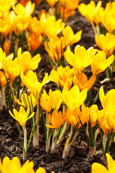 Similar image 2195106