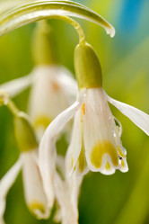 Similar image 2195107