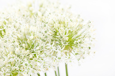 Similar image 2195111