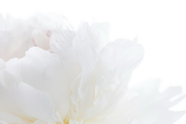 Similar image 2195145