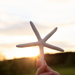 Similar image 2195148