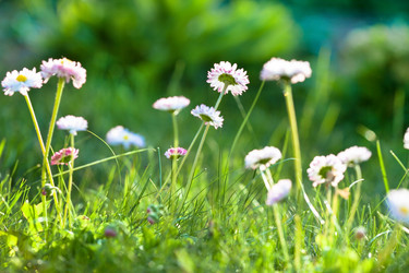 Similar image 2195160