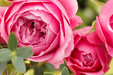 Similar image 2195170