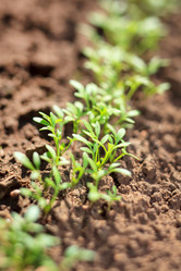 Similar image 2195206