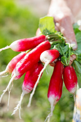 Similar image 2195207