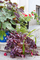 Similar image 2195226