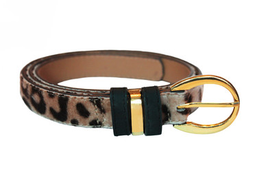 Similar image 2195493