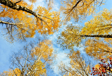 Similar image 2195501