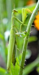 Similar image 2195655