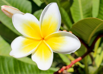 Similar image 2195658