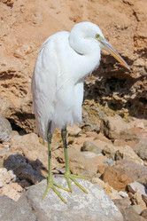 Similar image 2195662