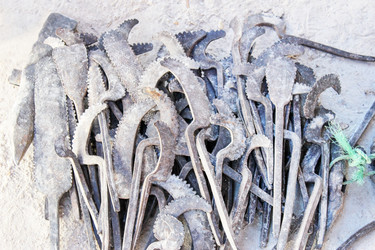 Similar image 2195663