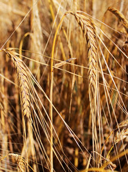 Similar image 2195669