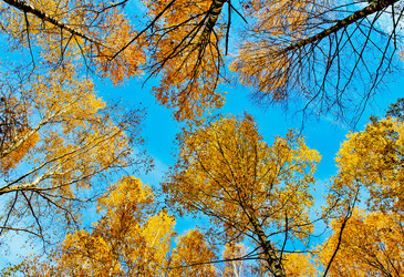 Similar image 2195671