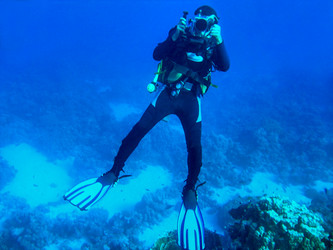 Similar image 2195806