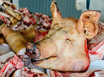 Similar image 2195812