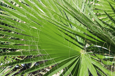 Similar image 2195816