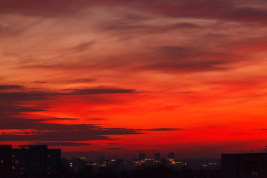 Similar image 2195878