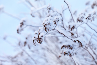 Similar image 2195886