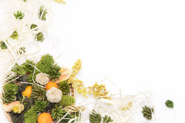 Similar image 2197874