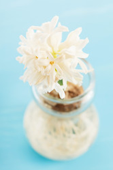 Similar image 2198213