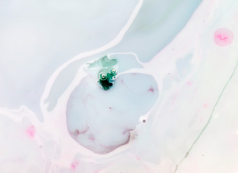 Similar image 2198216