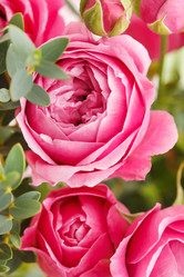 Similar image 2198452