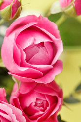 Similar image 2198669