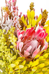 Similar image 2198674